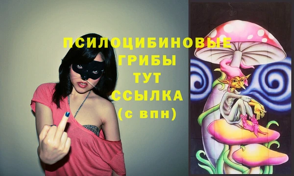 не бодяженный Аркадак
