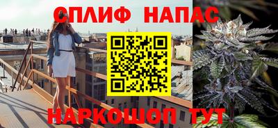 молекула духа Балахна