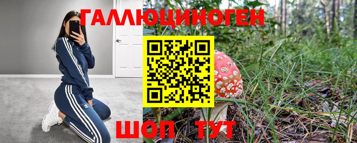 Кетамин Асино