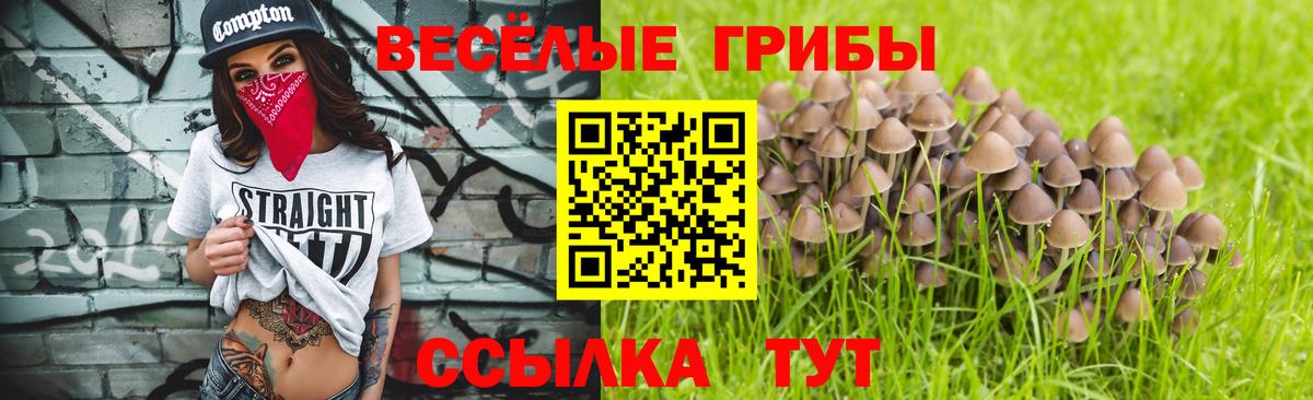 Галлюциногенные грибы MAGIC MUSHROOMS  Асино  наркошоп  Псилоцибиновые грибы MAGIC MUSHROOMS 