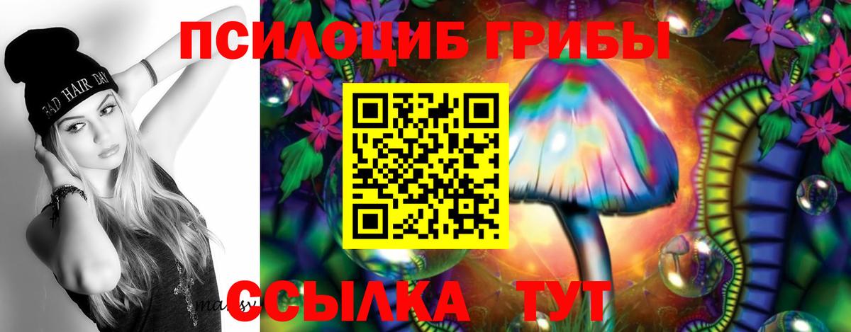 Галлюциногенные грибы Psilocybe Асино